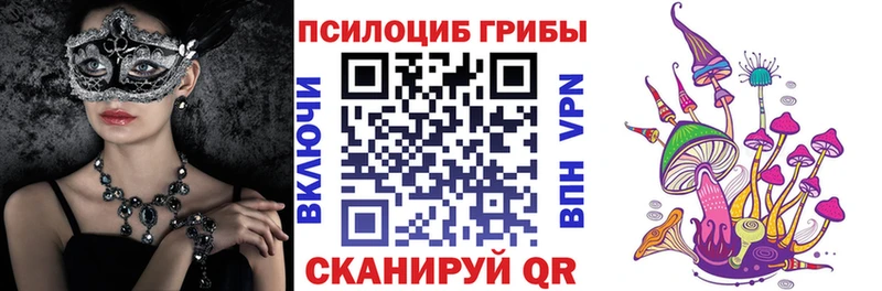 Псилоцибиновые грибы прущие грибы  Бобров 